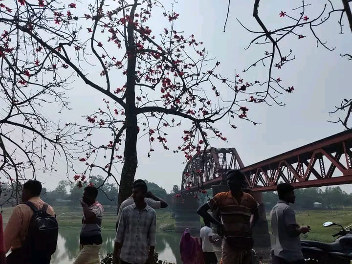 সিরাজগঞ্জে ফুলের ছবি তুলতে গিয়ে প্রাণ গেল ২ যুবকের