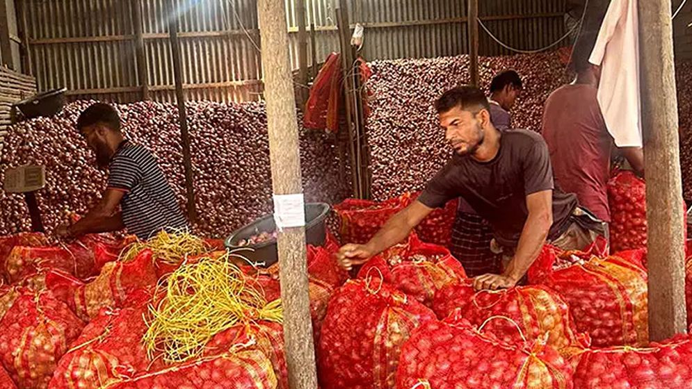 এক মণ পেঁয়াজেও মিলছে না এক কেজি ইলিশ!