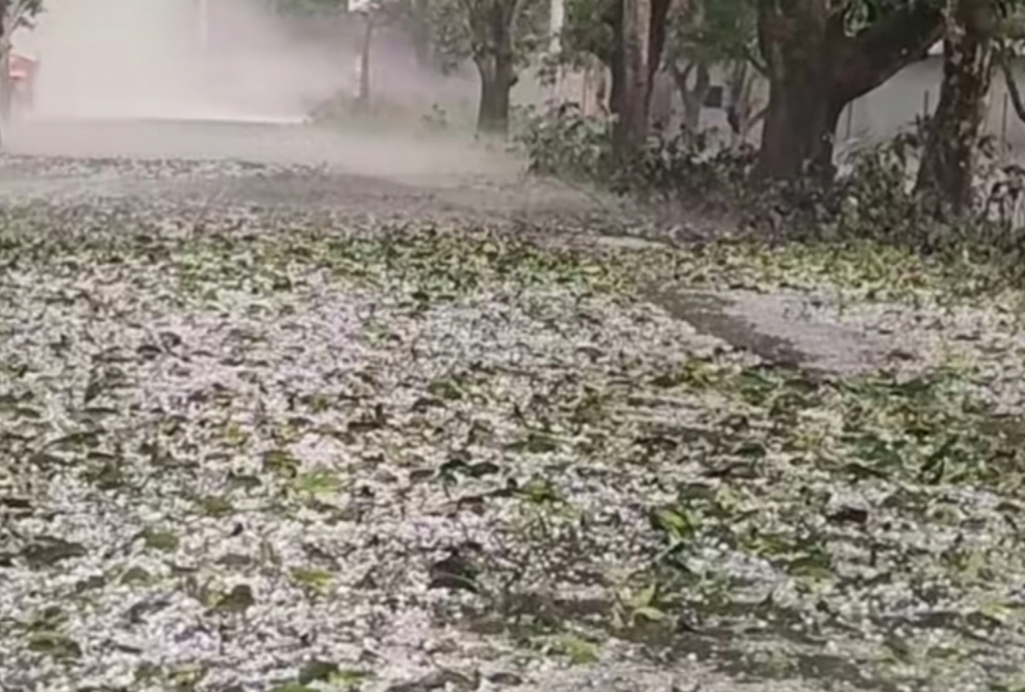 চাঁপাইনবাবগঞ্জে শিলাবৃষ্টিতে আম, লিচু ও ধানের ব্যাপক ক্ষতির আশঙ্কা
