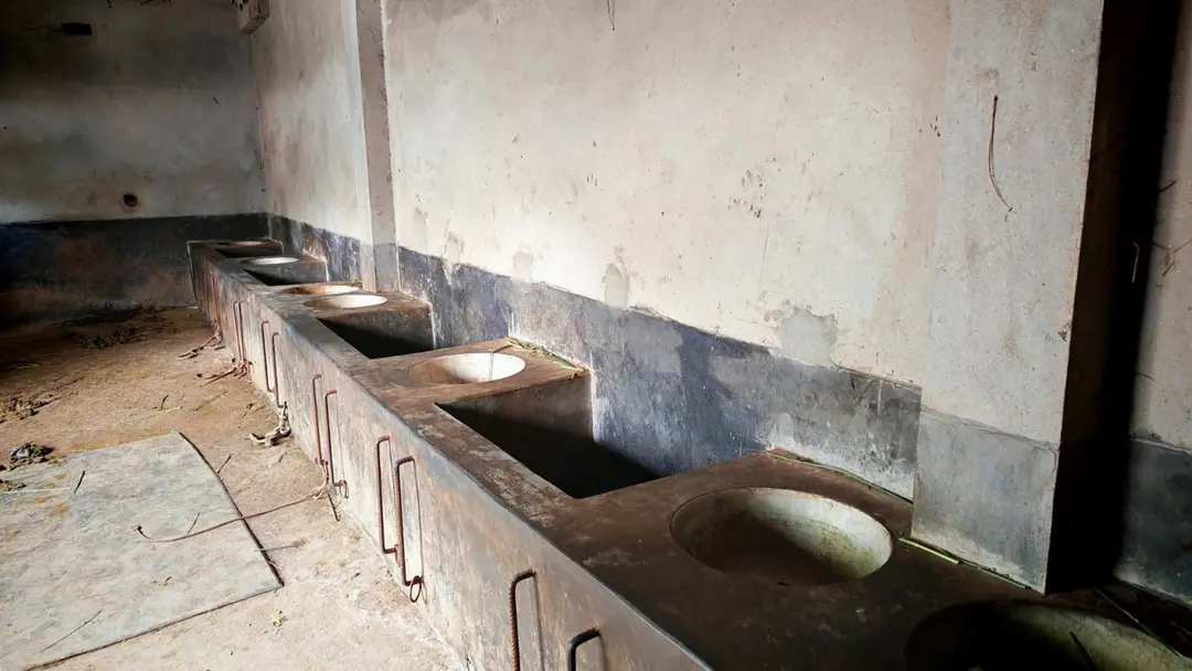  দরজায় শিকল লাগিয়ে গোয়াল থেকে ৫টি গরু চুরি