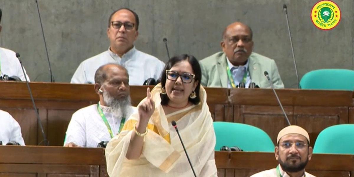 সরকার জনগণের সঙ্গে মিথ্যাচার করছে: রুমিন ফারহানা