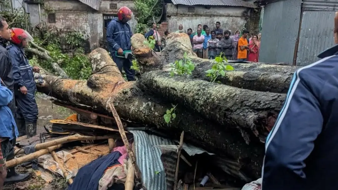 কালবৈশাখী ঝড়ে গাছচাপায় প্রাণ গেল দোকানির
