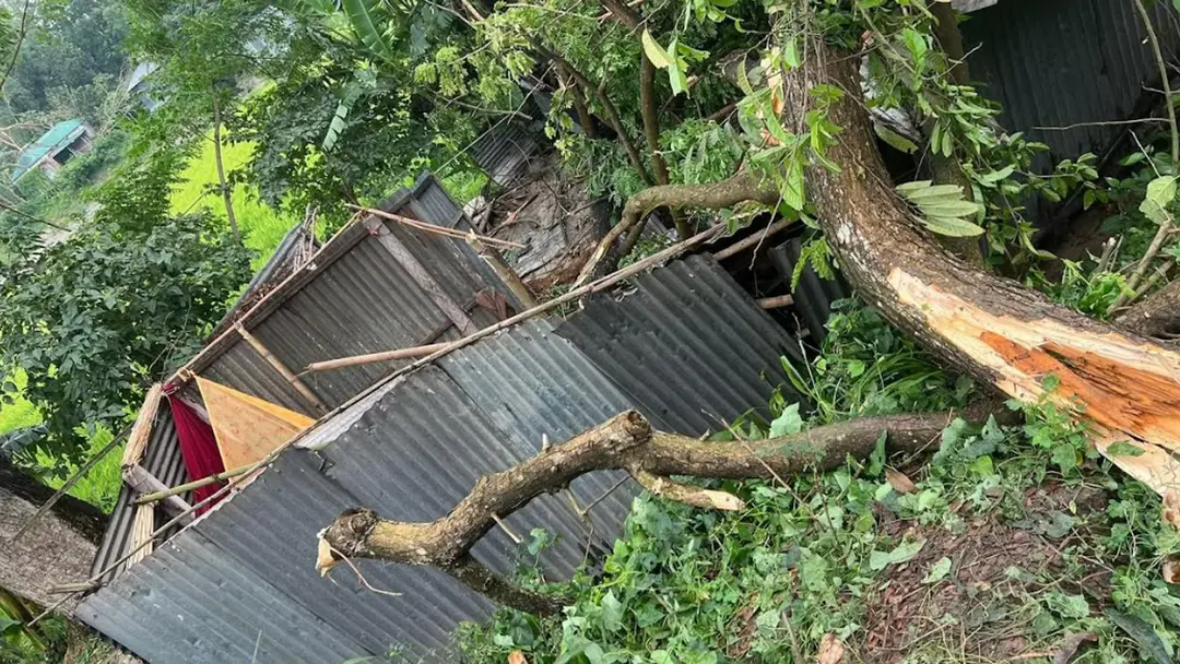 সিরাজগঞ্জে ঝড়ে ঘরের ওপর গাছ পড়ে নারীর মৃত্যু