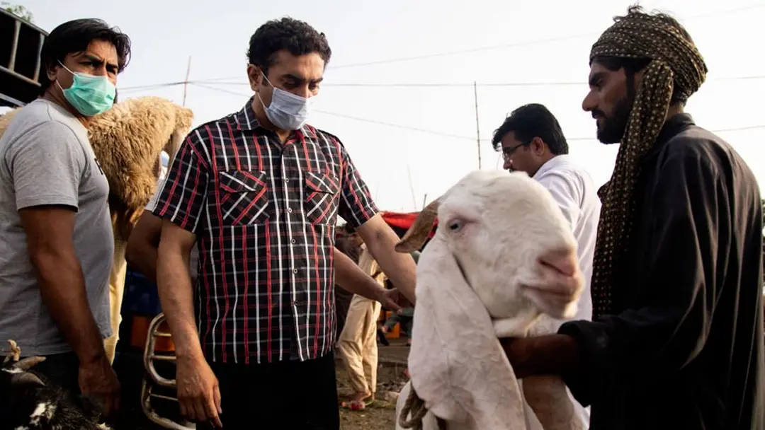কোরবানির জন্য কেনা প্রাণী বিক্রি করা যাবে?