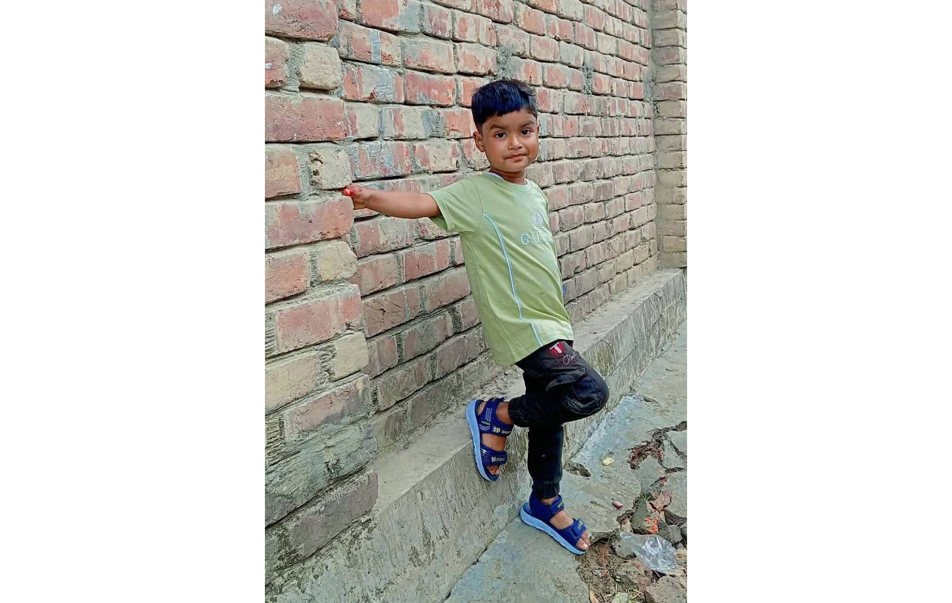 বদলগাছীতে সাপের দংশনে প্রাণ গেল ৭ বছরের শিশুর 