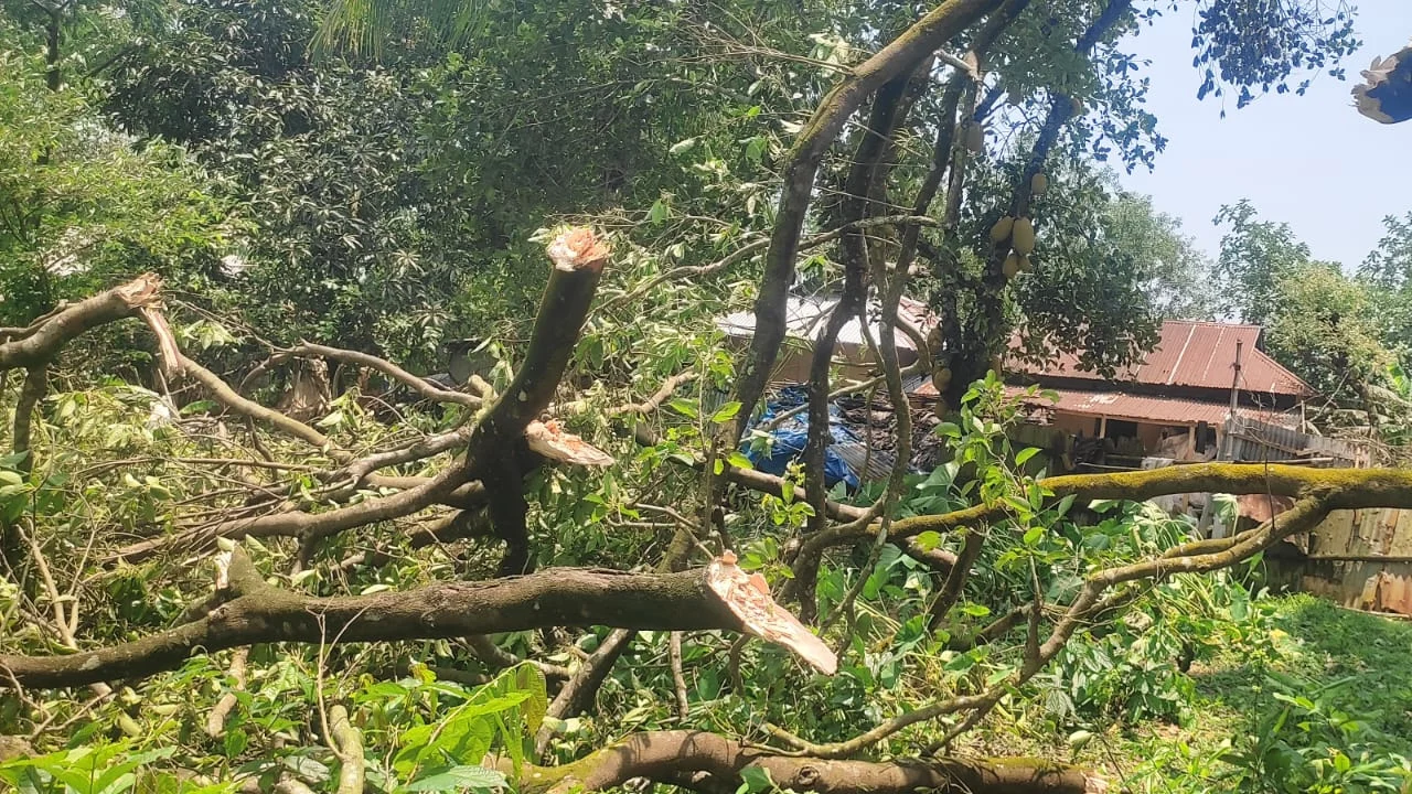 কালবৈশাখীর তাণ্ডবে লন্ডভন্ড শ্রীপুরের ৩ গ্রাম