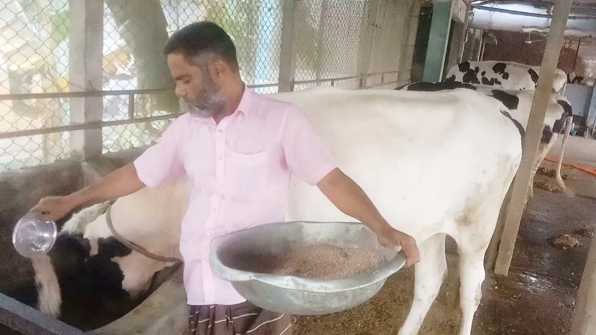 খামারের আয়েই ঘুরছে গ্রামীণ অর্থনীতির চাকা
