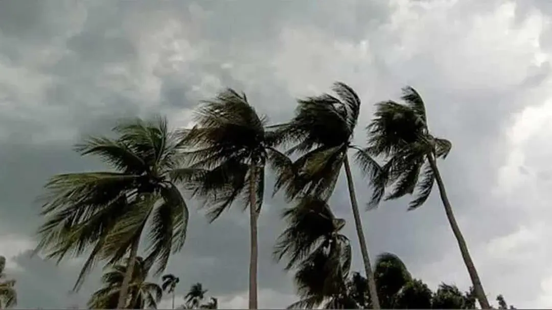 রাতের মধ্যে সাত অঞ্চলে ঝড়ের আভাস