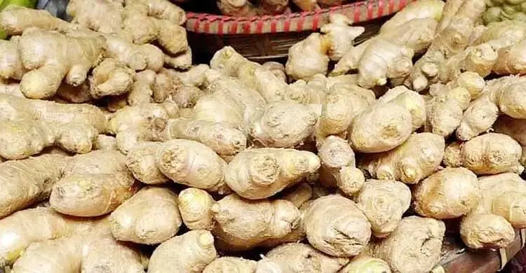 কোরবানির আগে আদার বাজারে আগুন, ১৬ দিনে দাম দ্বিগুণ