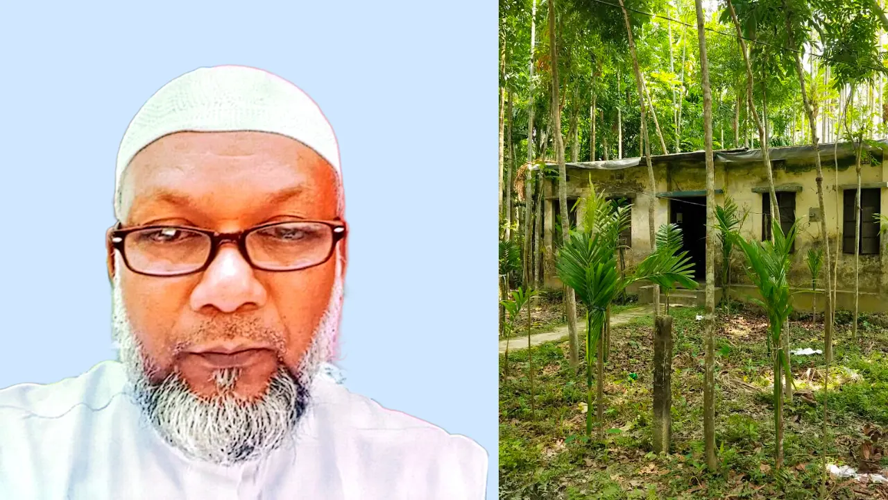 জমি দখল করে গাছ লাগানোর অভিযোগ জামায়াত নেতার বিরুদ্ধে