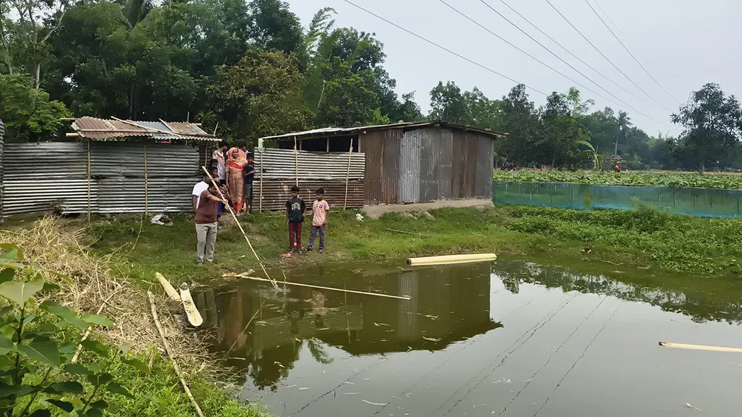 নাটোরে পুকুরে ডুবে দুই শিশুর মৃত্যু