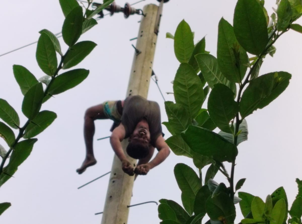 বাঘায় বিদ্যুতের খুঁটিতে উঠে যুবকের মৃত্যু, ঝুলন্ত মরদেহ উদ্ধার