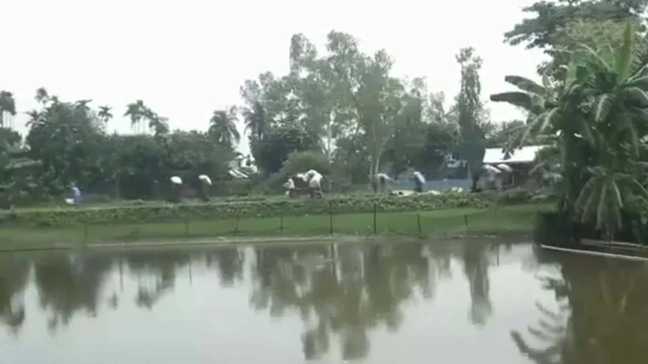 কুড়িগ্রামে গুদাম ভেঙে ২০২ বস্তা সার নিয়ে গেলেন কৃষকরা