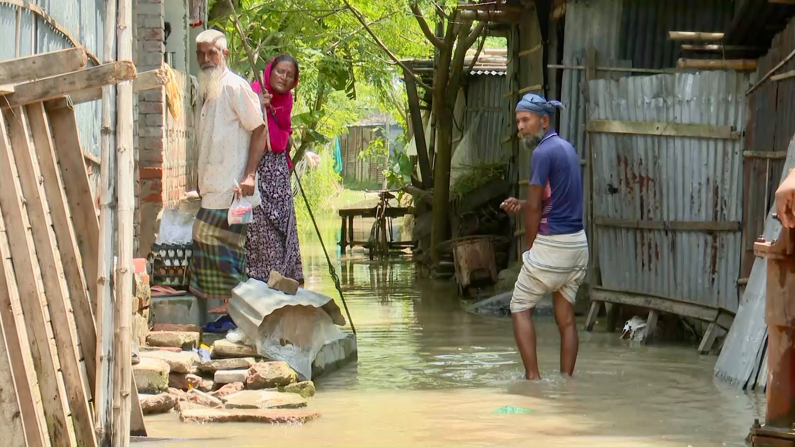 রাজশাহীতে পদ্মার পানি কমছে, বাড়ছে সাপের আতঙ্ক