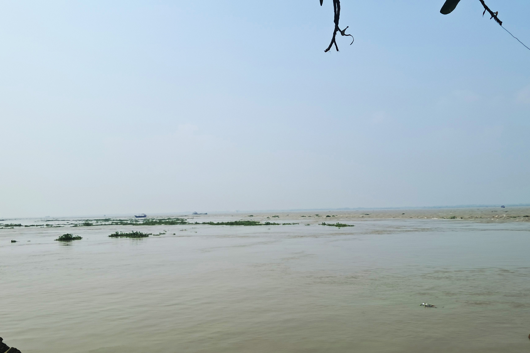 চাঁদপুরে মা ইলিশ রক্ষায় ২২ দিনের নিষেধাজ্ঞা, ফাঁকা নদী ও মাছঘাট