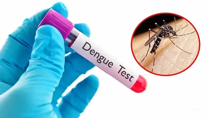 ডেঙ্গুতে একদিনে ১০ জনের মৃত্যু, হাসপাতালে ভর্তি ১৯৪৩